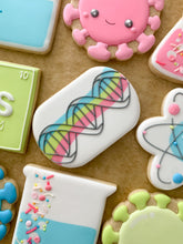 Load image into Gallery viewer, Max Plaque/ Pill Cutter