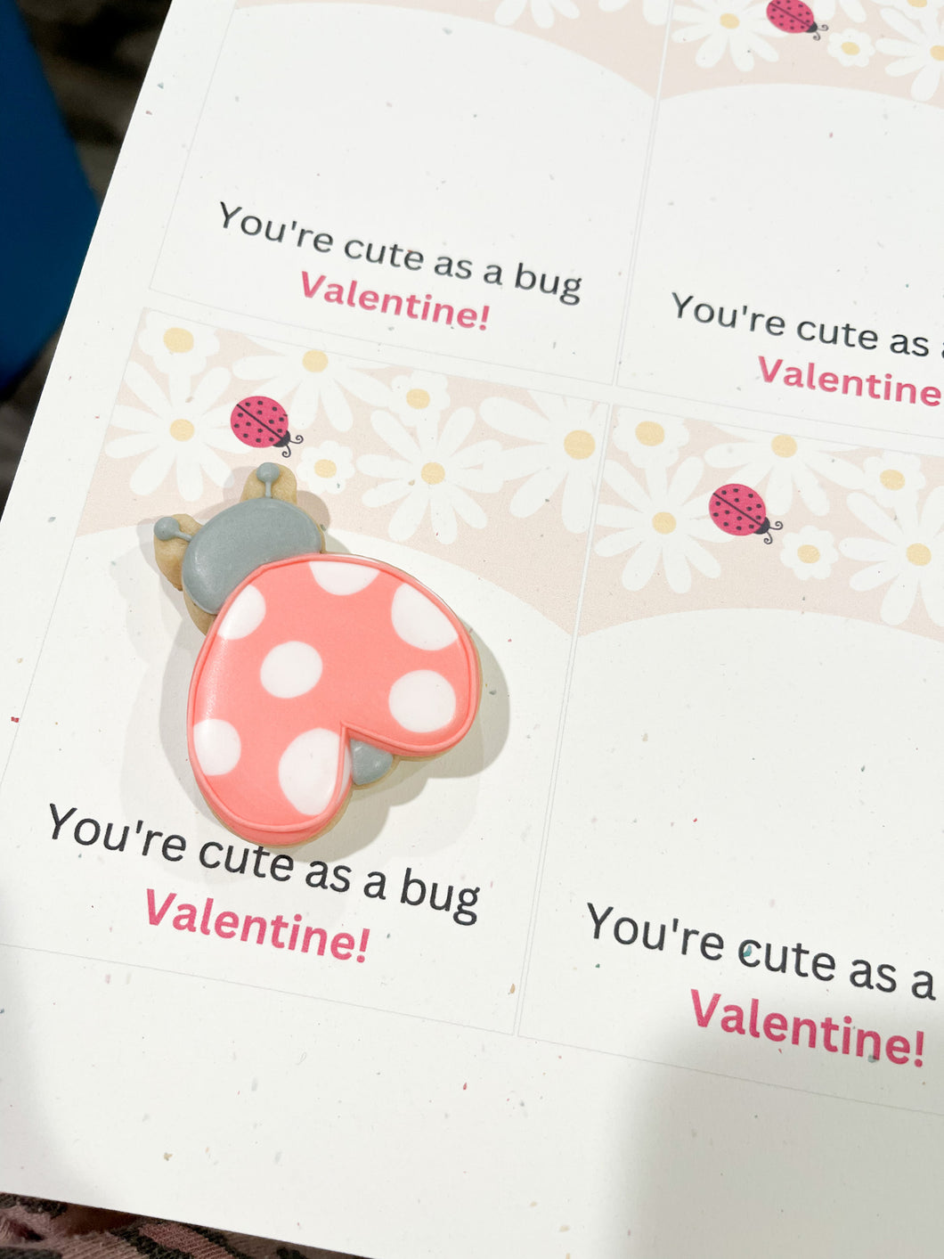 You're cute as a bug- Cookie Card 3.5x5in